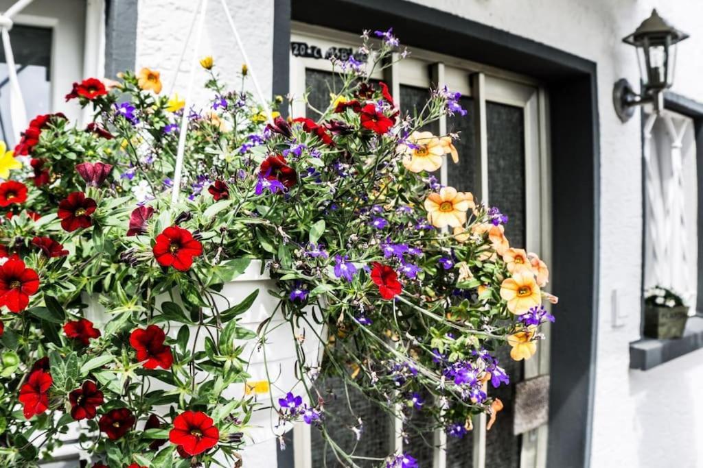 Schoenes Haus Mit Grossem Garten Seligenstadt Esterno foto