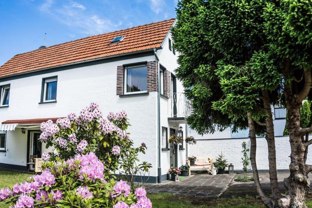 Schoenes Haus Mit Grossem Garten Seligenstadt Esterno foto