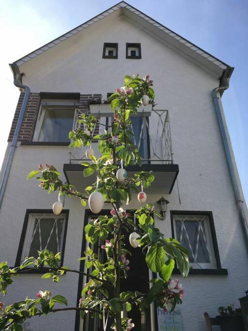 Schoenes Haus Mit Grossem Garten Seligenstadt Esterno foto